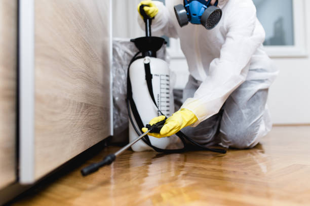 Best Exterminator Services  in Marmora, NJ