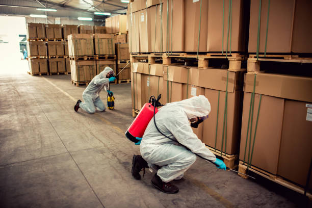 Best Wasp Removal Services  in Marmora, NJ
