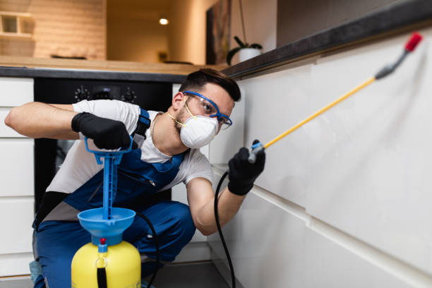 Best Best Pest Control Companies  in Marmora, NJ