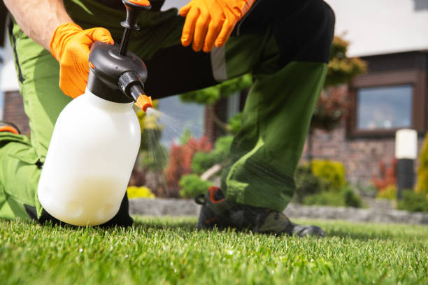 Best Insect Control  in Marmora, NJ