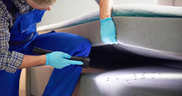 Best Pest Control Near Me  in Marmora, NJ