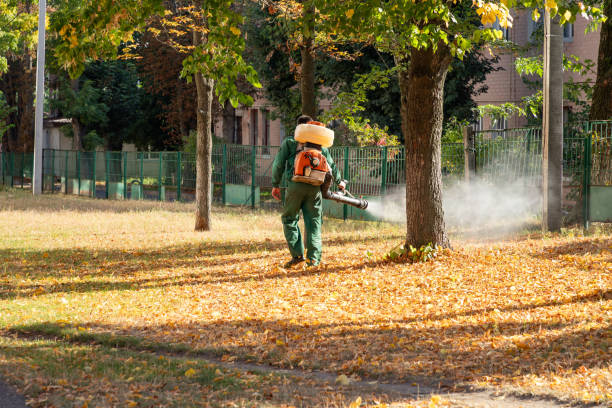 Pest Control for Restaurants in Marmora, NJ