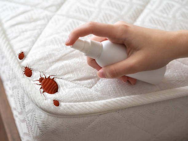 Best Flea Control Services  in Marmora, NJ