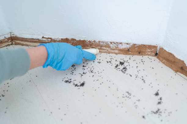 Best Pest Prevention Services  in Marmora, NJ